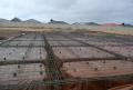 Aldinga Beach excavations, formwork and reinforcing ready for concrete 




